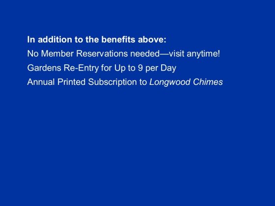 Blue chart with member benefits listed.