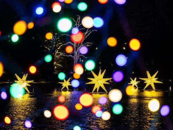 abstract view of points of light from multi-colored Christmas lights layered over a view of a body of water with large illuminated stars floating