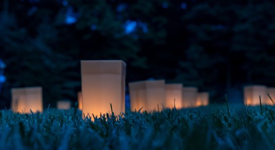 softly glowing luminaries nestled in grass at dusk