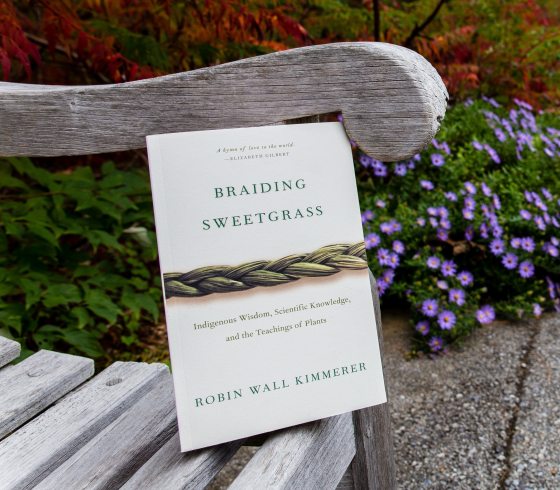 "Braiding Sweetgrass" softcover book propped up on bench on a garden path