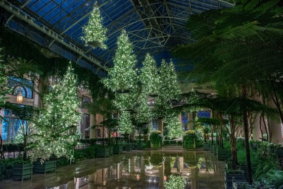 Christmas trees floating over a hall floor