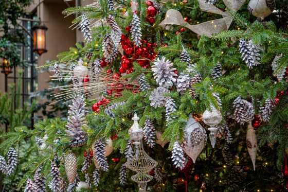 A close up of a Christmas tree with white pine cones, gold and red ornaments, and gold decorations