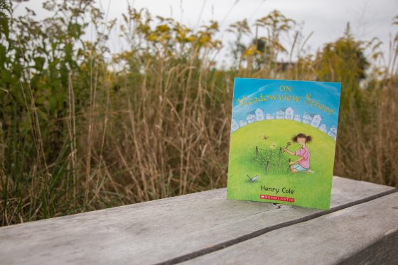 a book on a brown bench with tall grasses in the background 