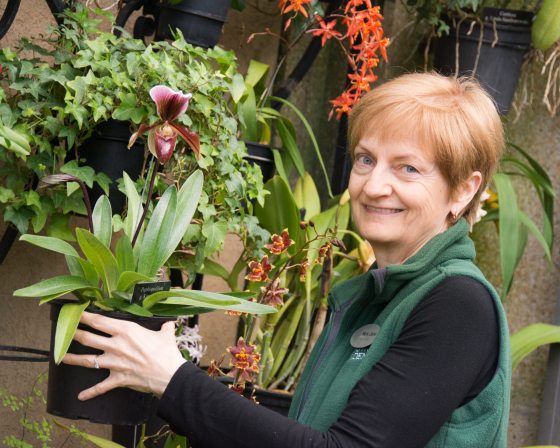 a person holding an orchid 
