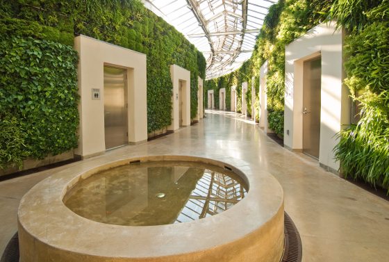 a round fountain surrounded by walls with thick, green vegetation 