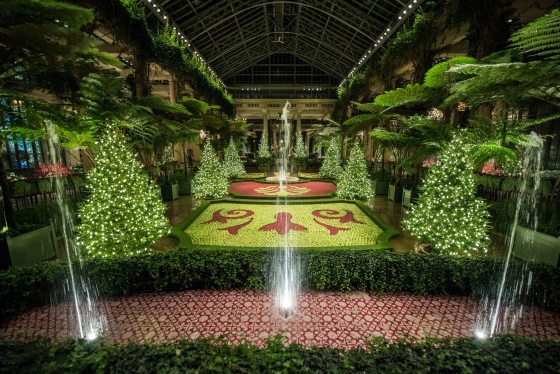 a floor filled with apples, trees, and fountains 