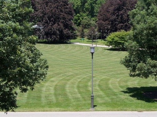 large green grass lawn with big trees surrounding it