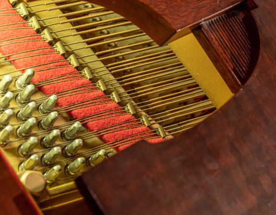 a close up shot of a musical instrument with keys and strings