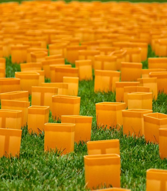 A lawn with dozens of luminaries on the ground.