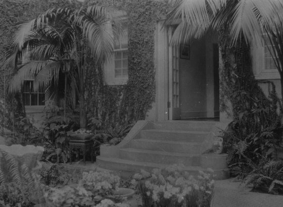 A black and white image of a small staircase surrounded by plants inside the Pierce du Pont house at Longwood Gardens.