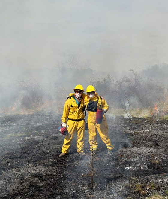 Two people in yellow protective suits standing in a recently burned meadow.
