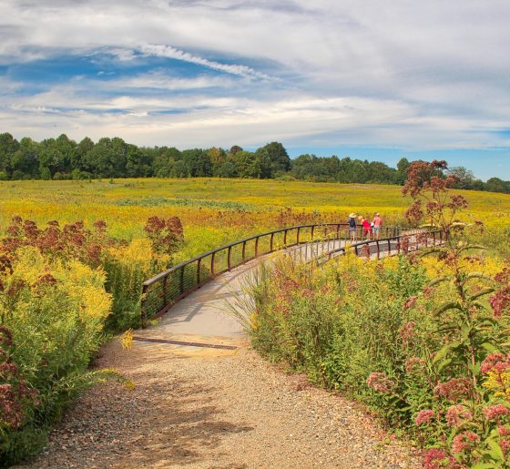 A view of the Meadow Garden path in late summer at Longwood Gardens.