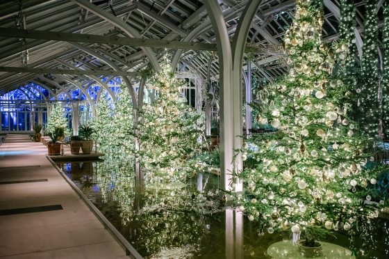An indoor conservatory featuring Christmas trees in white lights, on pedestals, in shallow water.