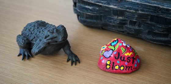 A realistic stone toad and a painted rock that reads "just bloom" on a desk. 