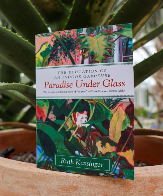A book titled "Paradise Under Glass" propped up on the edge of a terra cotta planter, inside a conservatory.