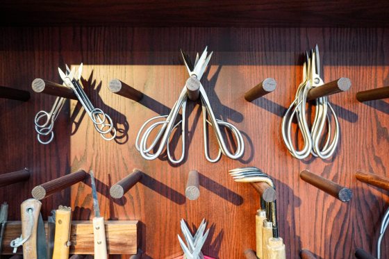 A portion of a dark wall, with pegs, holding plant pruning tools. 