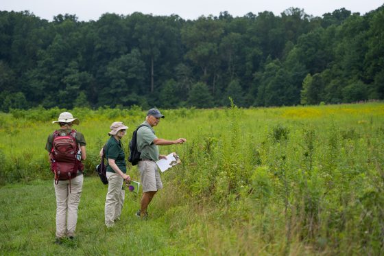 Three people holding clipboards and wearing backpacks, in a meadow looking at plants.