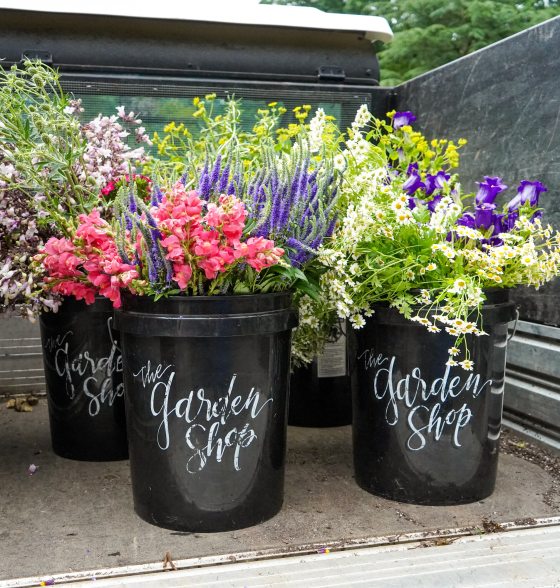 Three buckets of cut flowers in the back of a cart.