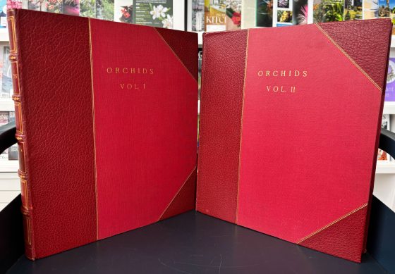 Two large red books, standing up, with the title "Orchids" in gold lettering.