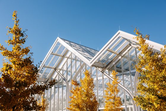 The roof peaks of the West Conservatory, featuring trees with yellow leaves in front.