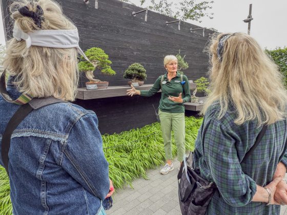 A female garden guide explains the bonsai display to two visitors in front of a dark, textured wall.