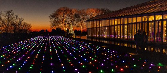 Nighttime view of a vast lawn covered in a pattern of parallel rows of glowing multi-colored lights (red, blue, green, purple) extending toward a brightly lit glass conservatory building.