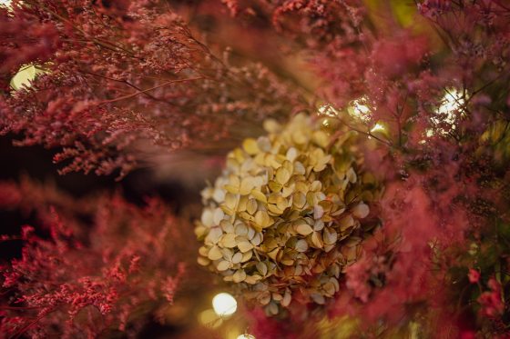 A close up of dried floral material in oranges, beiges, and reds.