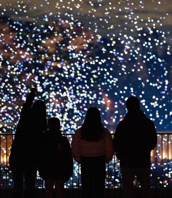 A wide, cinematic shot of the family of four silhouetted against a sprawling landscape of multicolored light orbs (white, blue, and purple). In the background, the architectural glow of a garden structure is visible, while the foreground is dominated by the dark railing and the family's silhouettes as they gaze at the immersive display.