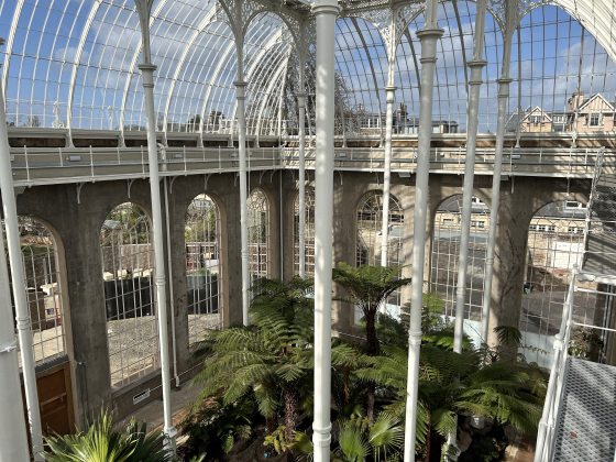 A high-angle view looking down into a large glass conservatory from an upper metal catwalk. The architecture features a soaring white grid-patterned glass roof and tall concrete walls lined with massive arched windows. Lush green tree ferns and palms grow thickly across the ground level below.