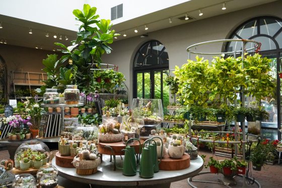 A wide, bright view inside a garden shop featuring a central display table covered with various succulents, cacti, and glass terrariums, surrounded by hanging plants, orchids, and shelves of ceramic pots.