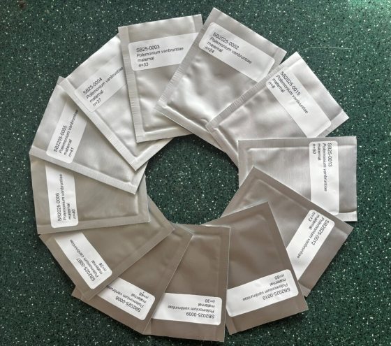 Twelve silver foil seed packets labeled with botanical names arranged in a complete circle on a dark green countertop.