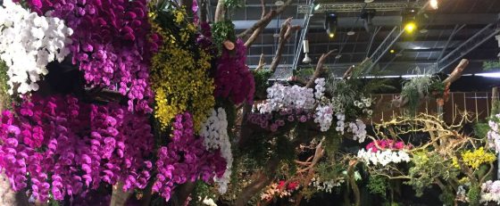 Approximately two-hundred thousand orchids in the Exhibition Display Hall