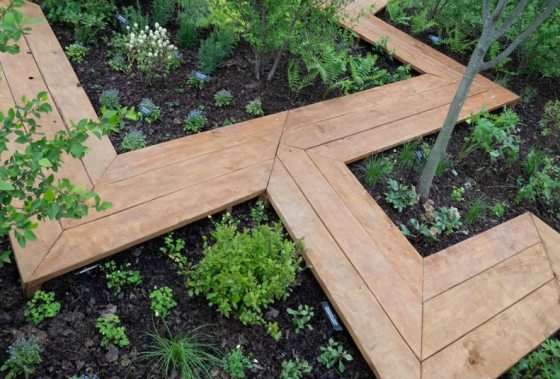 a wooden walking path zig-zags through a bed of greenery