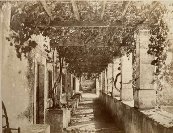 a black and white photo of a stone walkway with plants growing along the walls and roof 