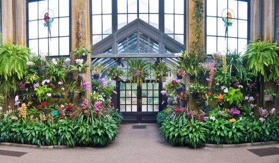 An indoor conservatory filled with orchids in various colors and sizes