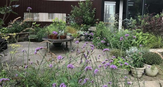 Patio surrounded by flower beds and filled with container plantings with mostly green textured plants and some small purple blooms
