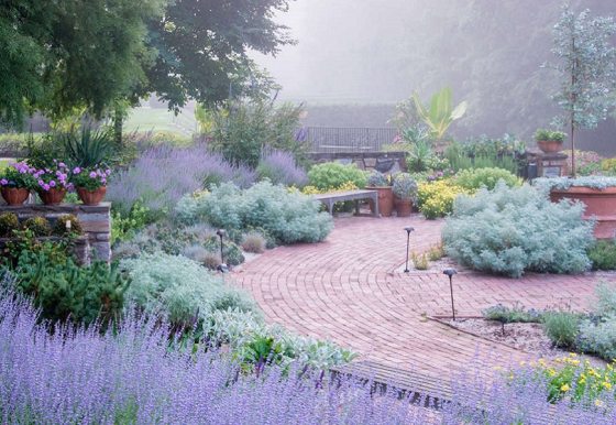 garden path on a misty day