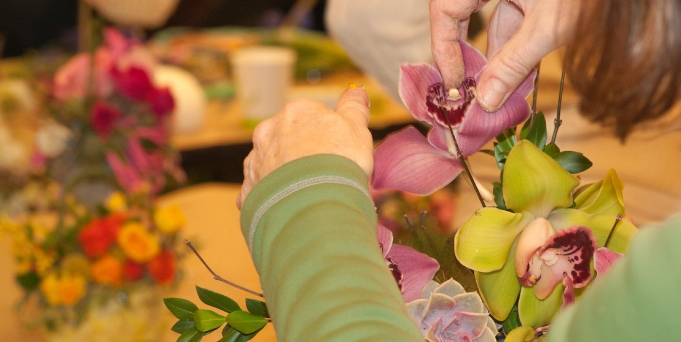 Rejuvenation and Renewal Longwood Gardens