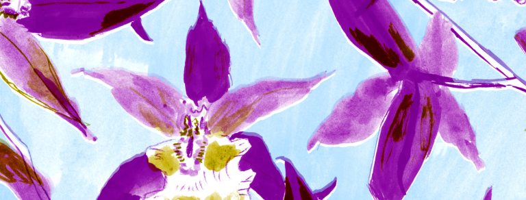 an illustration of purple flowers on a light blue background