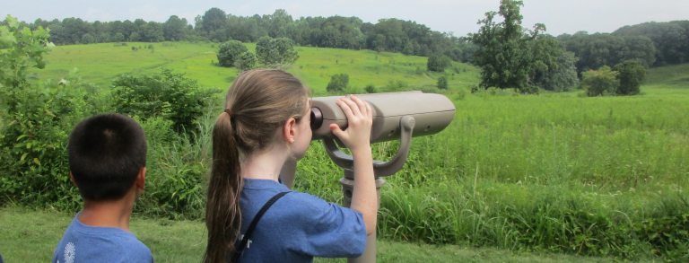 a child looks through binoculars into the meadow as another child looks on