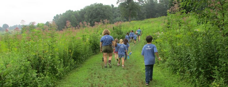 a group of children walk through a lush green meadow