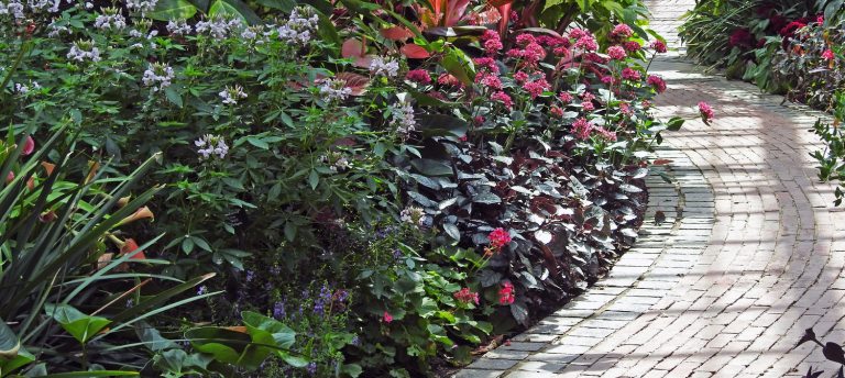 a brick walkway surrounded by colorful flowers and plants