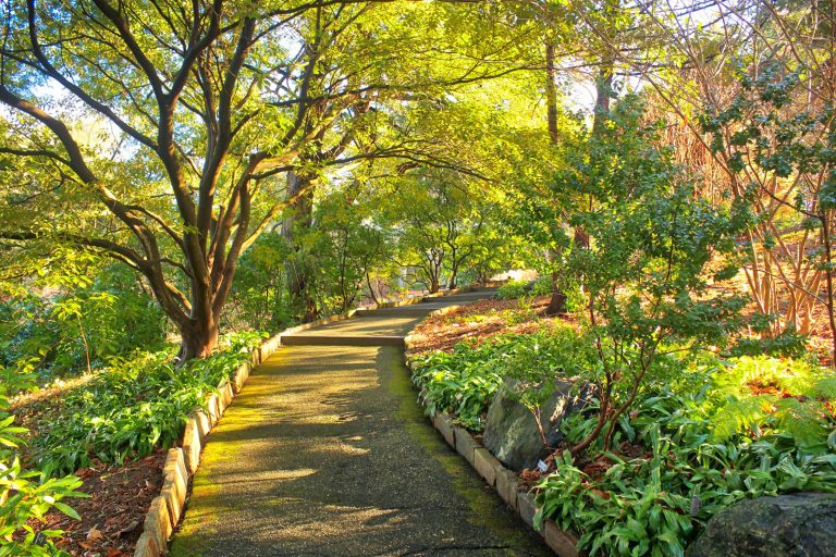A path leads through natural garden beds lined by green trees