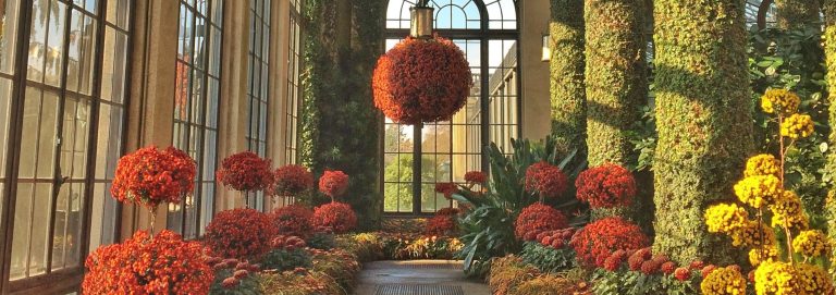 a walkway leads through garden beds full of orange, yellow, and red chrysanthemums toward a large red hanging basket and curved windows, all in a glass conservatory
