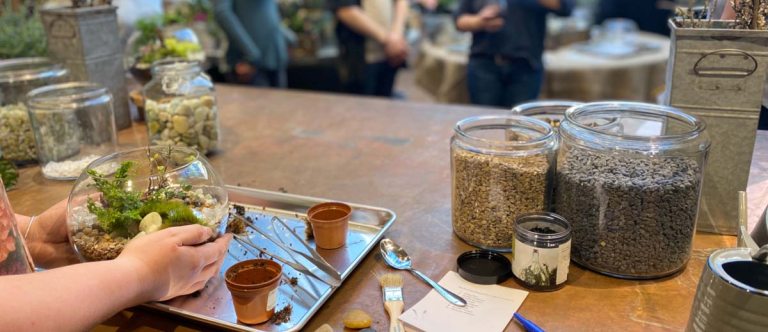 hands reach for a terrarium on a desk filled with jars