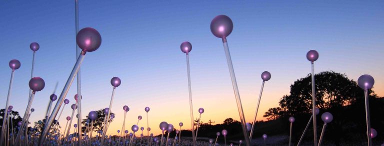 a view from the ground of light orbs with a sky at dusk