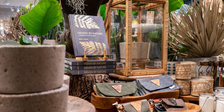 View of shop display featuring books, candles, planters, and clutches