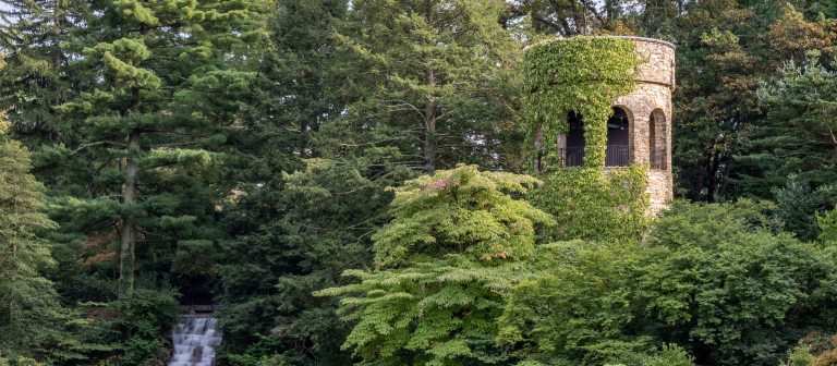 an ivy-laden stone tower sits amid lush green foliage