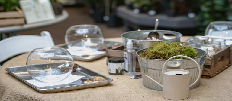 table with glass terrarium vases, a watering can and planting supplies