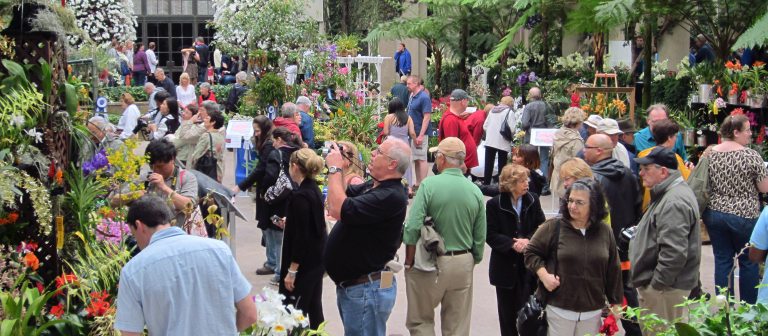 People browse among indoor blooms and foliage on a sunken garden floor